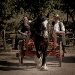 thumbnail_Acton Scott-1