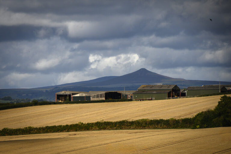 A barn view