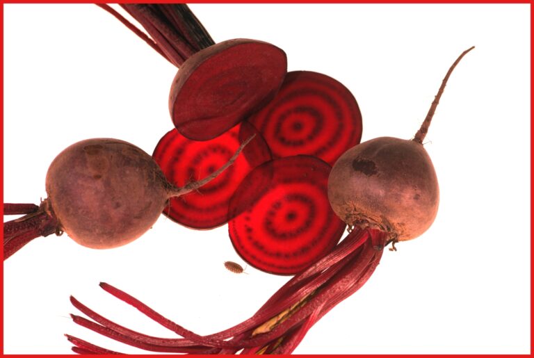 Beetroot