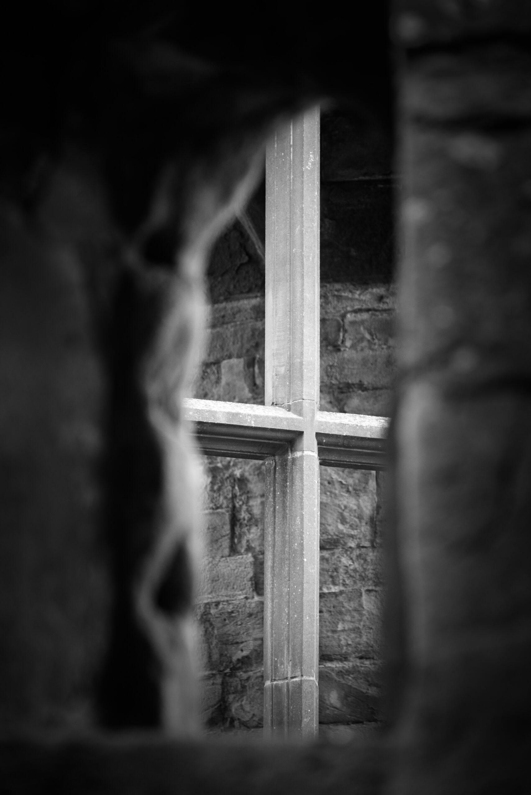 NZ5_4937-Edit