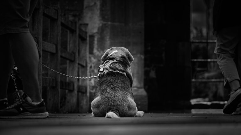 NZ5_4951-Edit