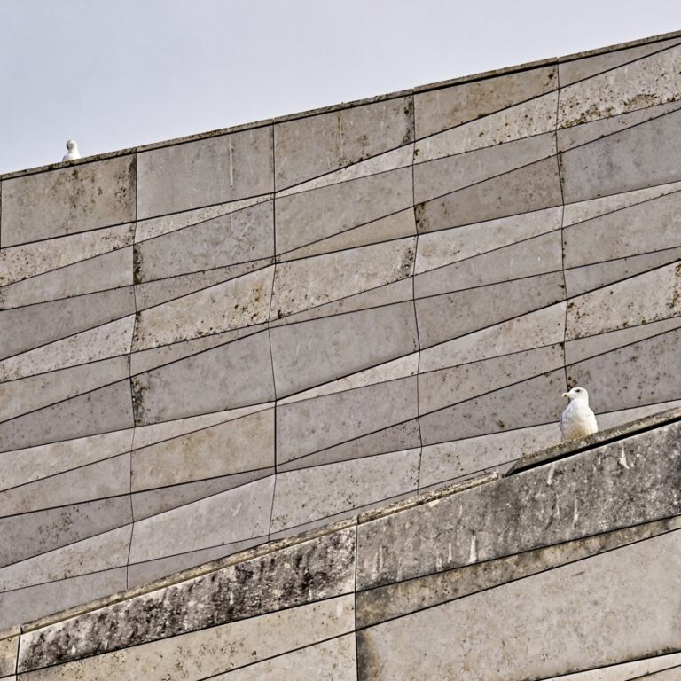 thumbnail_N63_4465v1