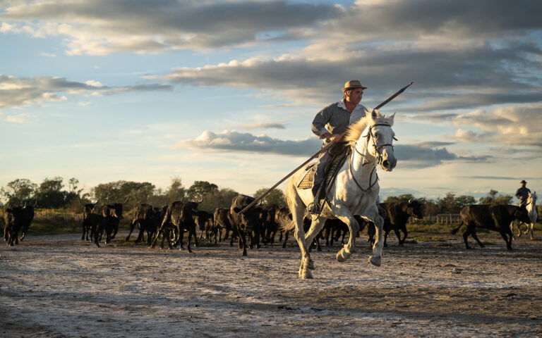 Leading the charge