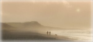 Walk on the Wild Side