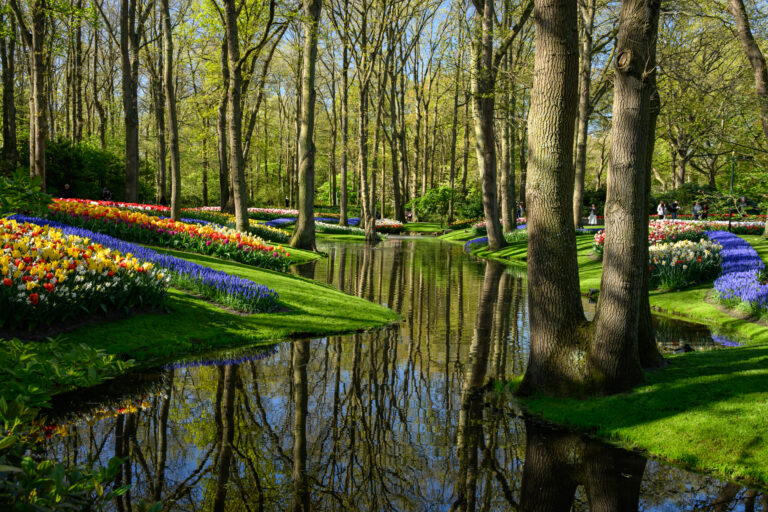 Delft-9