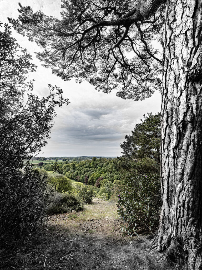 LAN_HAW_Hawkstone_03_0526_NQM