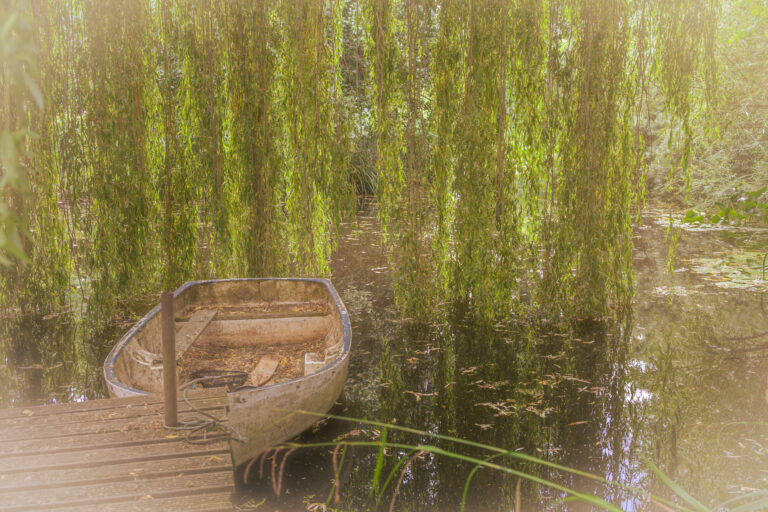 Water Gardens-2