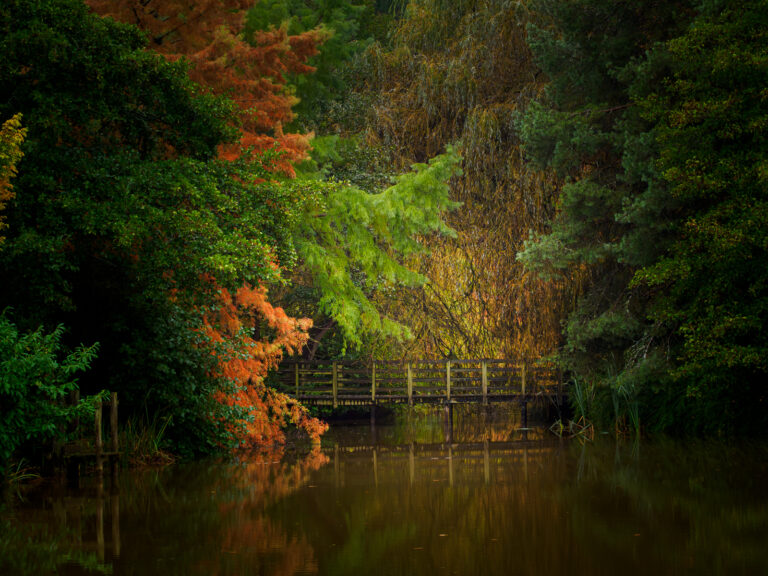Bodenham-1