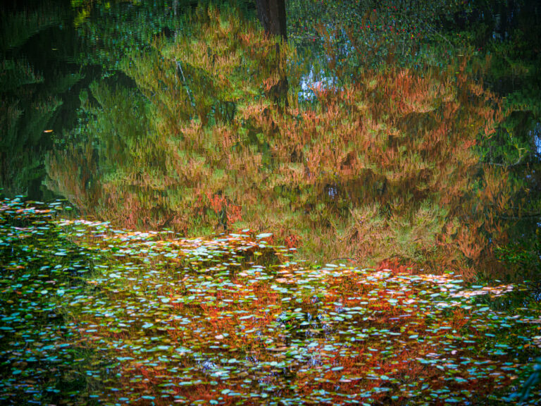 Bodenham-3