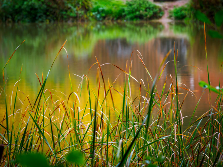 Bodenham-7