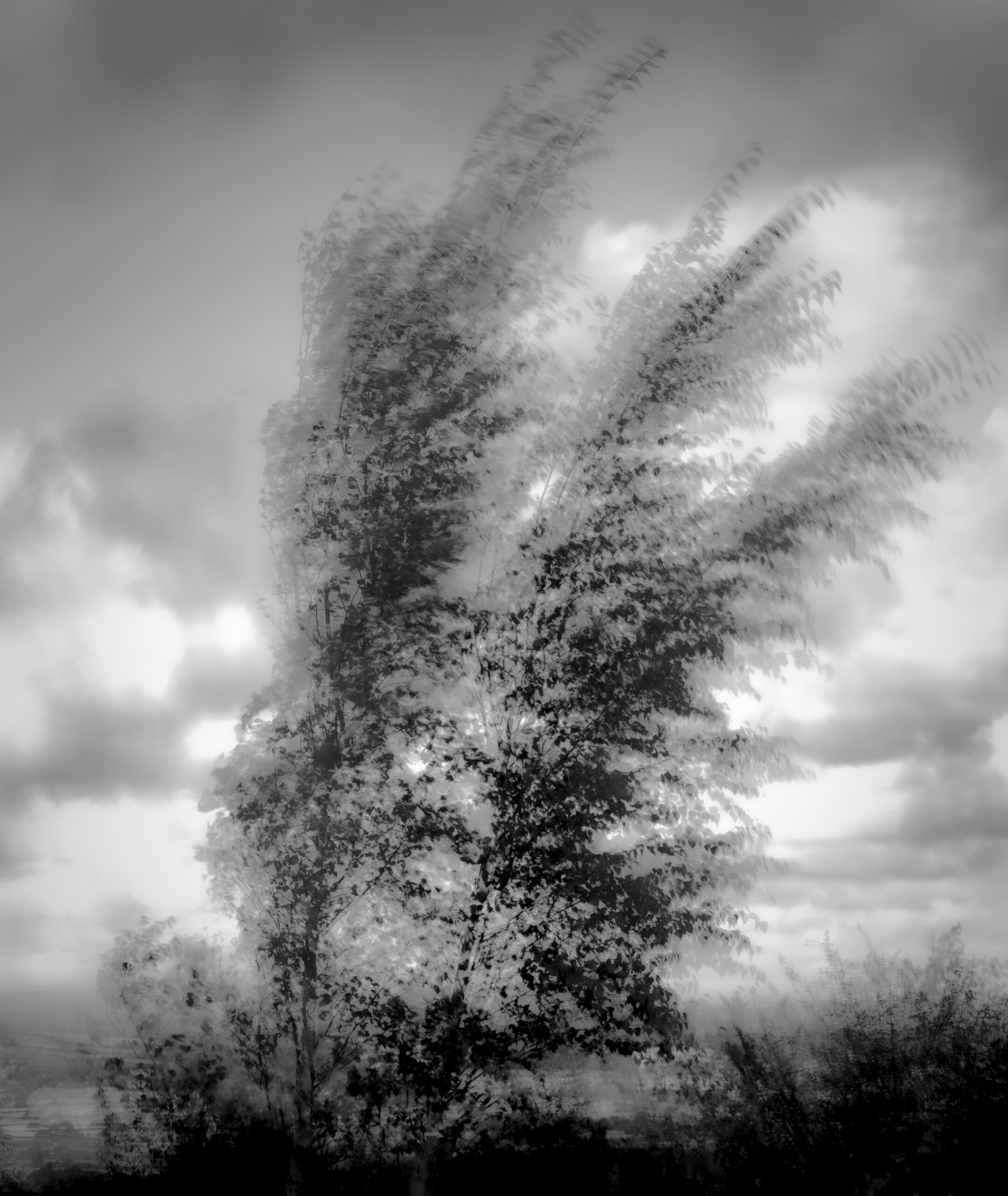 P9150103
