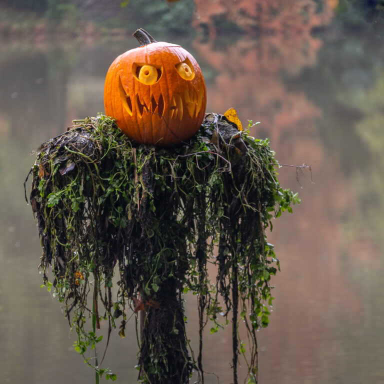 halloween at bodenham arboretum2a 10.26