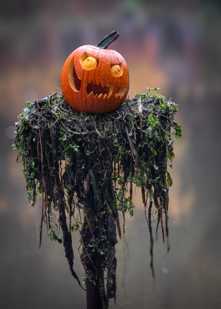 halloween at bodenham arboretum3 10.26